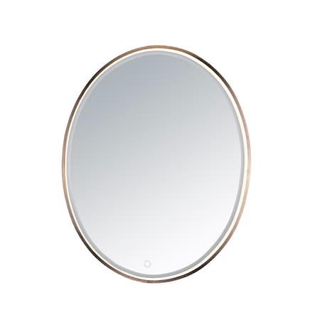 Mirror 1-Light 23.75 Wide Anodized Bronze LED Mirror